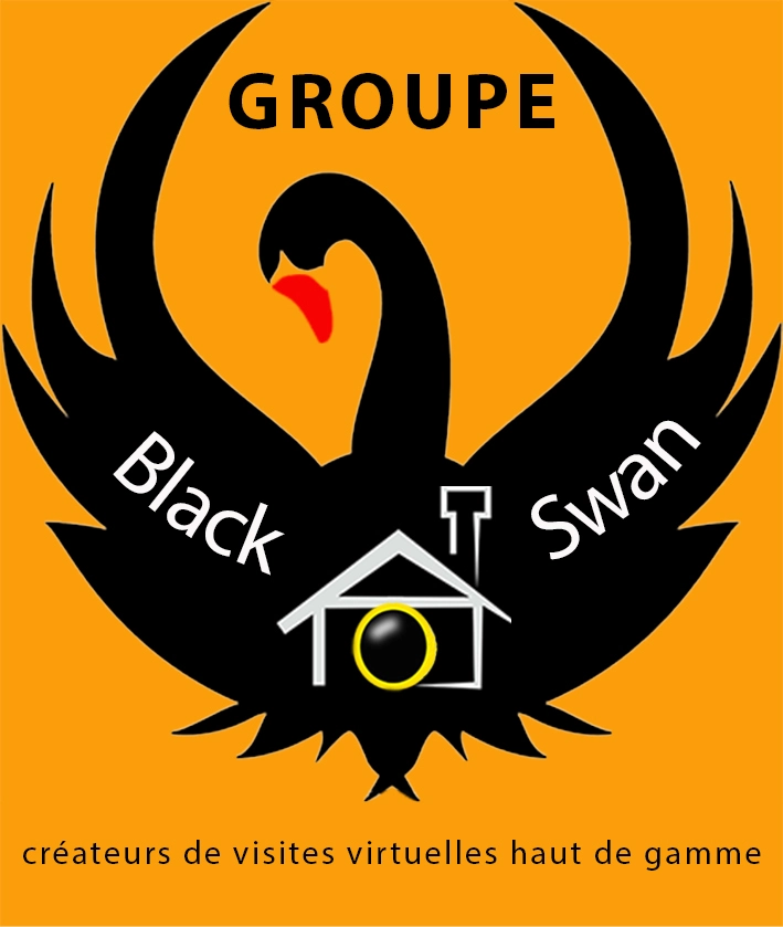 Logo Groupe Black Swan